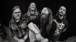 Skraeckoedlan + Gaupa