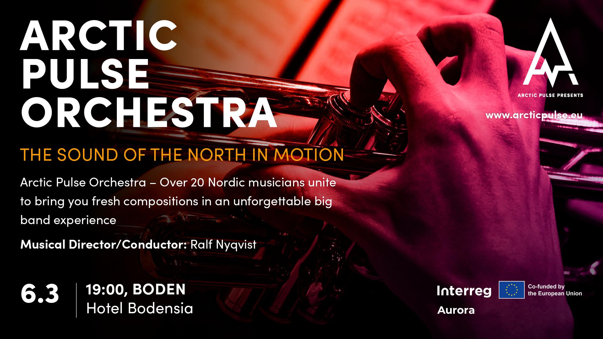 Arctic Pulse Orchestra på Bodensia