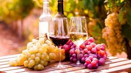 11/3 Vinprovning UPPTÄCK KROATIENS DOLDA VINPÄRLOR