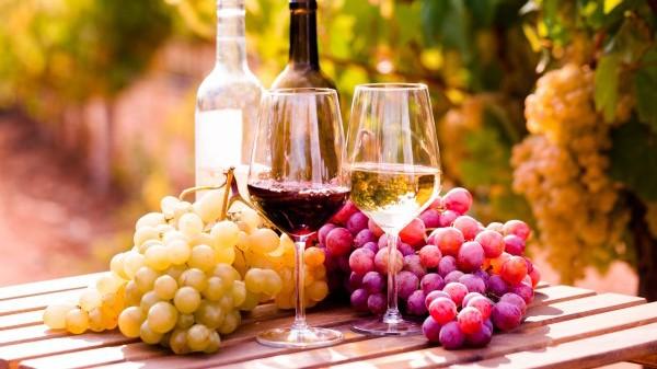 11/3 Vinprovning UPPTÄCK KROATIENS DOLDA VINPÄRLOR