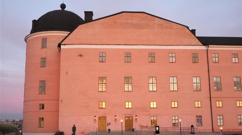 Slottets kvinnor: Pigor, fångar och drottningar