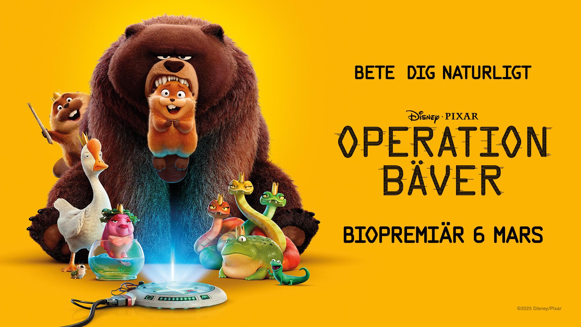 Operation bäver (Tal: Svenska) (Text: Svenska)