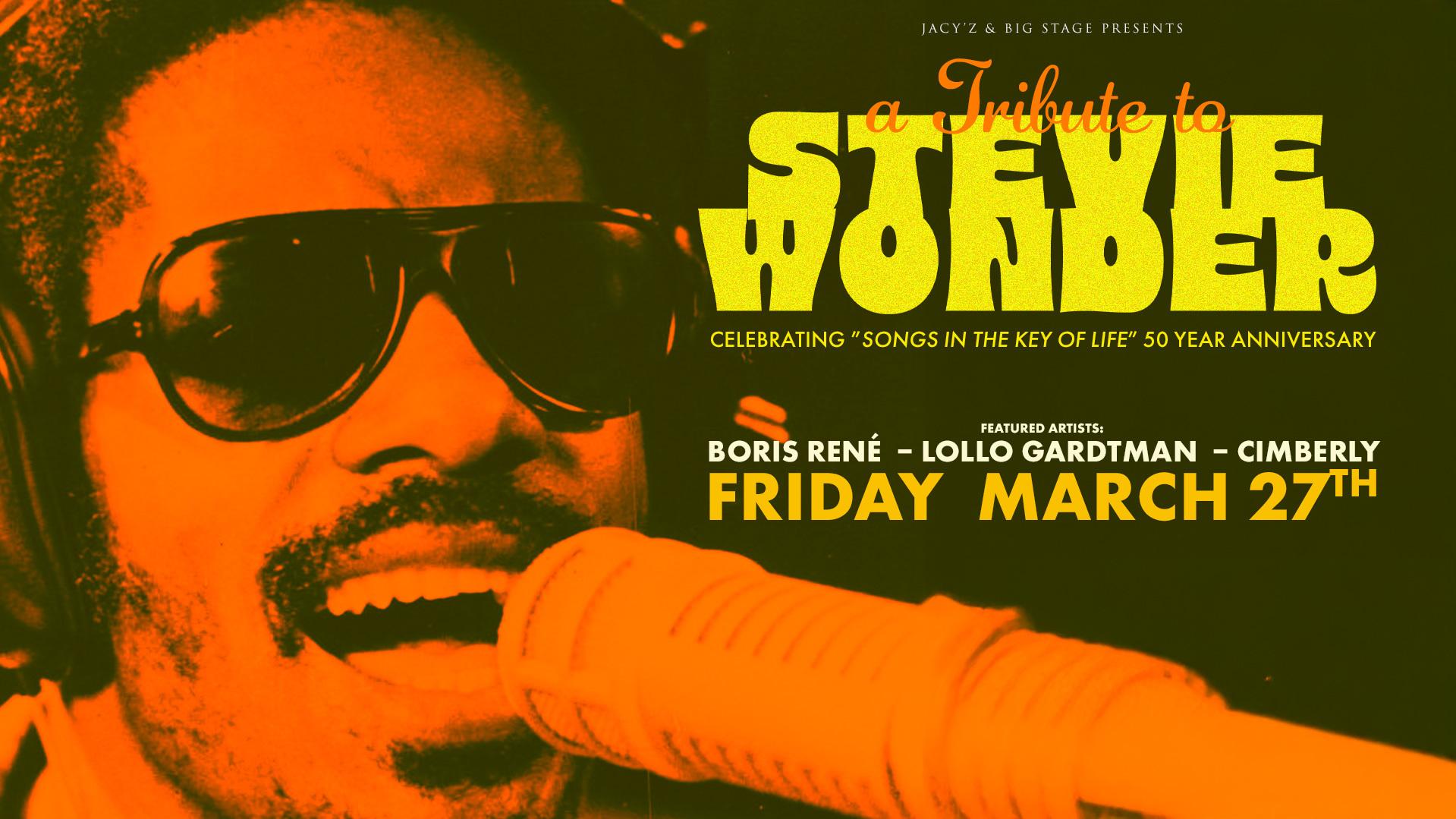 Stevie Wonder Tribute