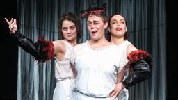 Teatersoppa: Pelikanen