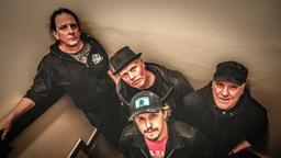 Coca Carola + Pinneso