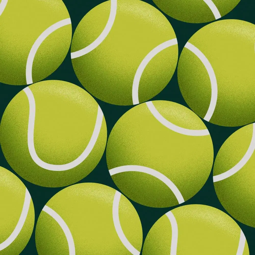 15th HR Shapers Super Sports day Created & managed by The Sports Gurukul