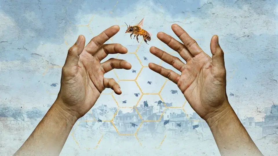 The Beekeeper of Aleppo