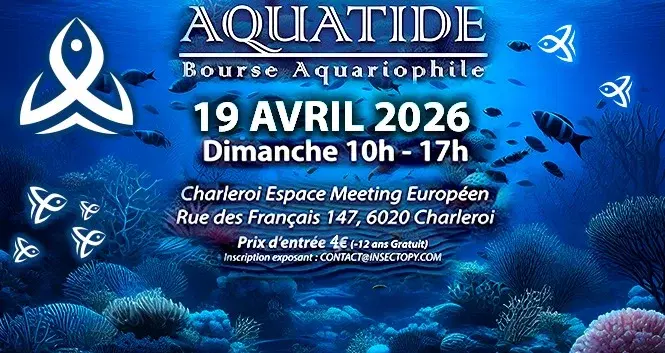 AQUATIDE 2026