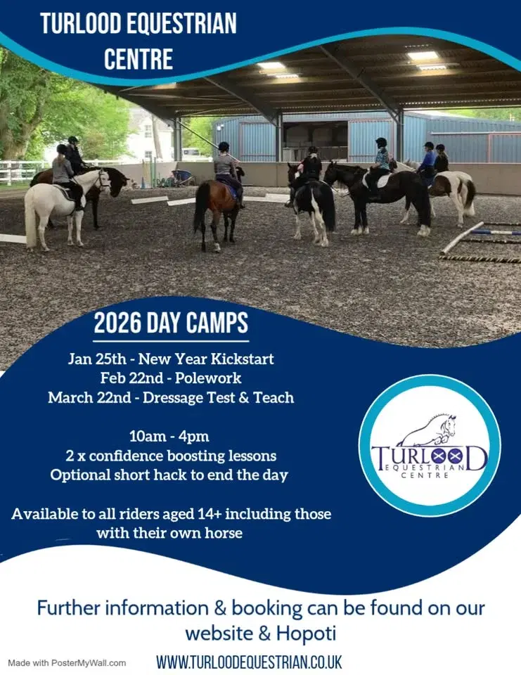 Day Camp - Dressage Test & Teach