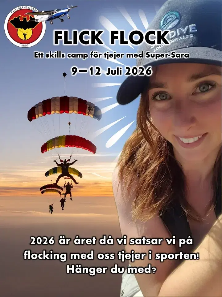 FLICK FLOCK med Super-Sara