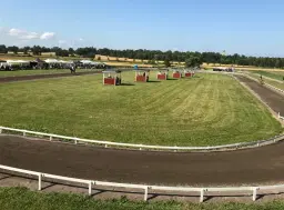 Sommartävling, nivå 4 (tölt- och gångartsgrenar)