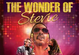 The Wonder of Stevie