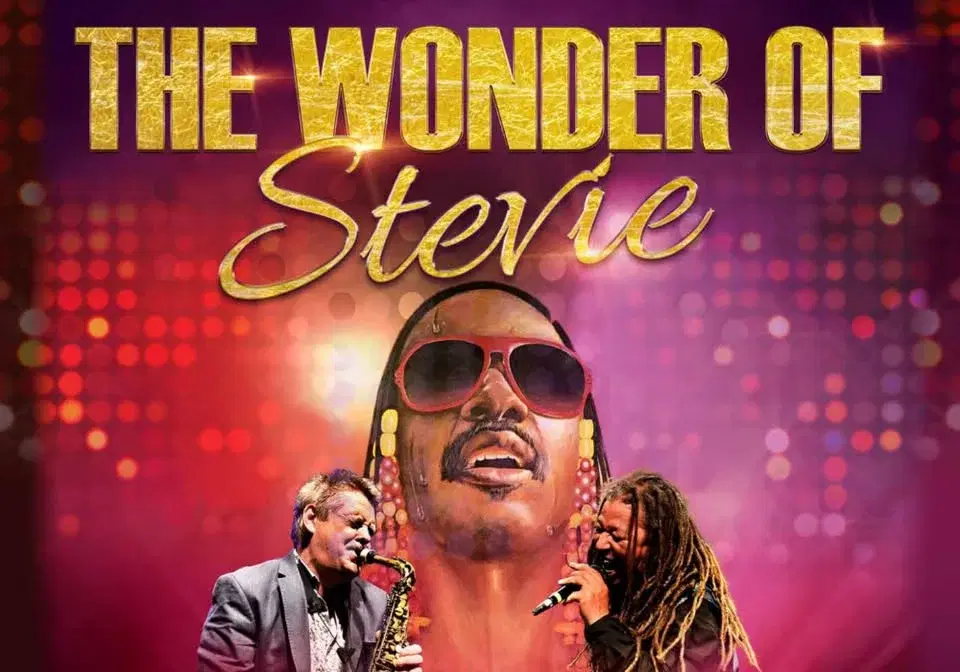 The Wonder of Stevie