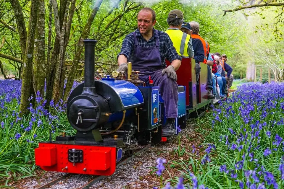 Trains through the Bluebells