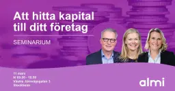 Att hitta kapital till ditt företag