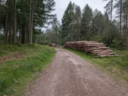 The Cannock Chaser 2026