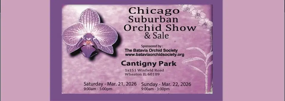 Chicago Suburban Orchid Show & Sale