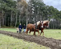 Mt Hermon Plow Days