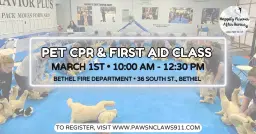 Pet CPR & First Aid Class 🐶🐱⚕️