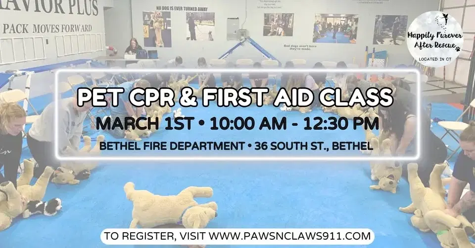 Pet CPR & First Aid Class đ¶đ±âïž