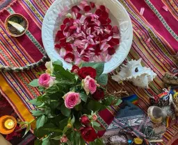 The rite of the womb - Zoom eller Stockholm