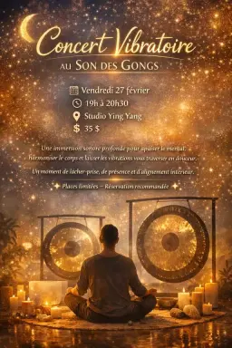 Concert Méditatif au Son des Gongs