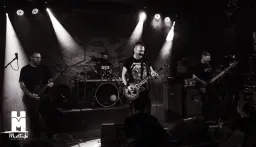 Stephen Brian Leonard Band LIVE @ The Carlisle, Hastings