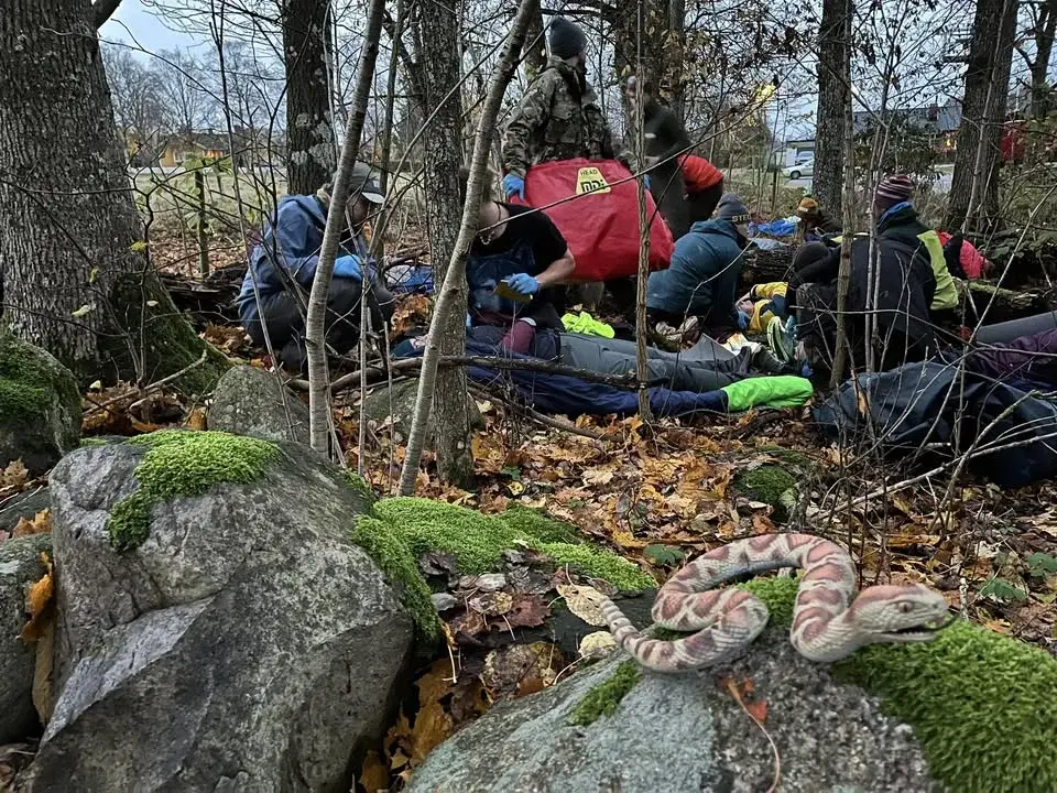 NOLS Wilderness First Aid taught in Swedish