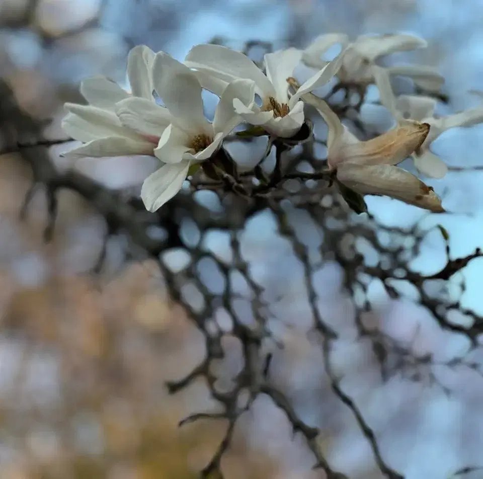 GUIDNING OM KNIVSÖDER