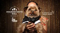 17th Annual Houndstooth Ball