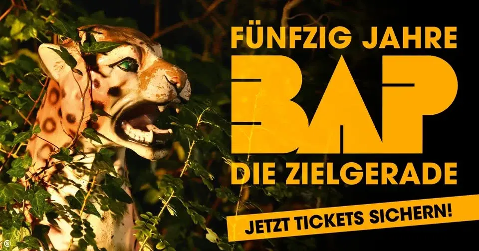 BAP - Fünfzig Jahre - Die Zielgerade | Berlin