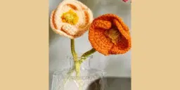 Spring Amigurimi Crochet Class with Jill Gray