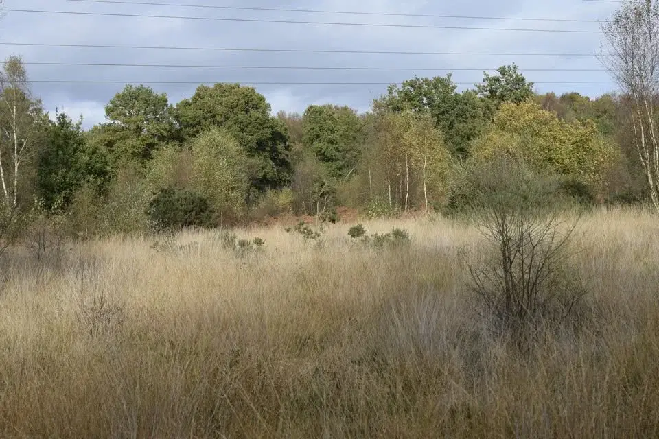 Hiking: Milford to Haslemere Walk - Sat 11 Apr 2026