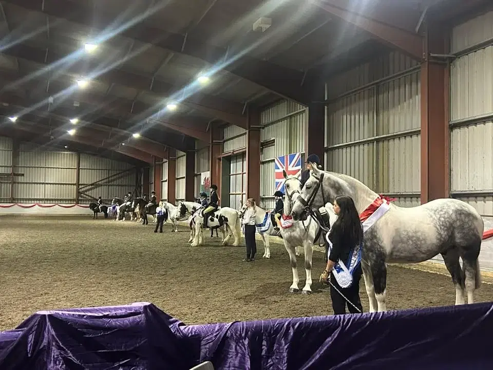 Sunnybank Showing Extravaganza