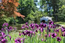 Wickham Park Opening Day!