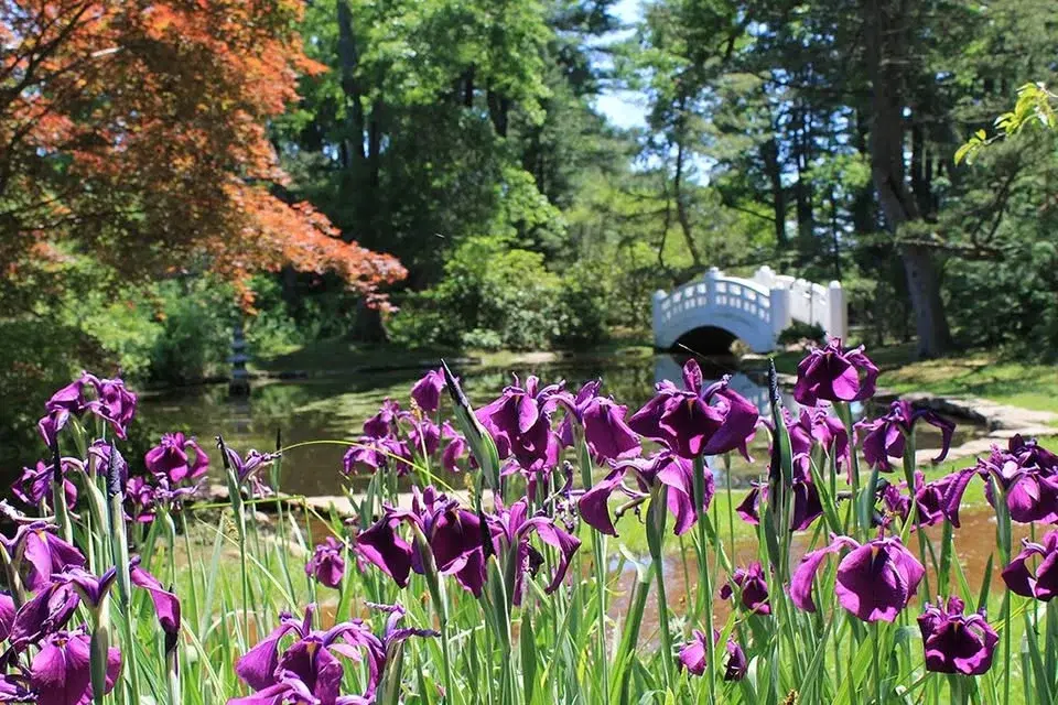 Wickham Park Opening Day!