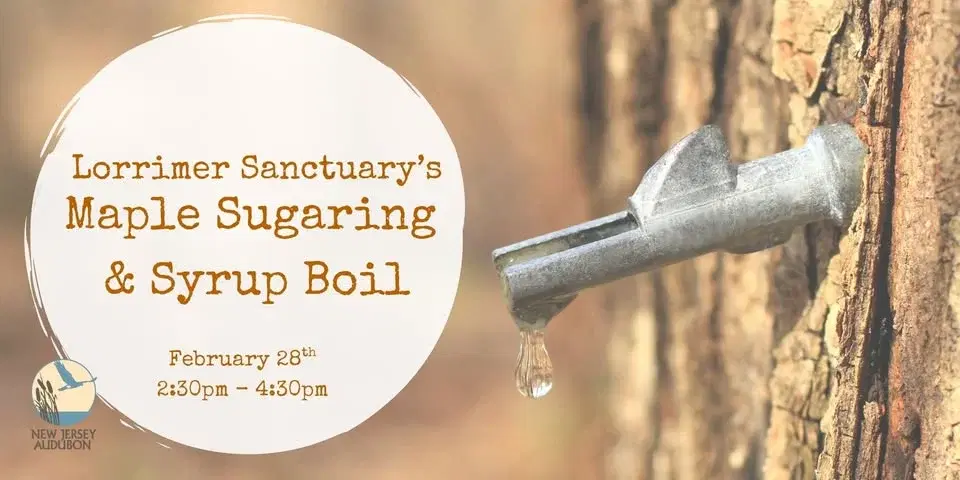 Maple Sugaring and Syrup Boil