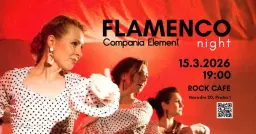Flamenco Night