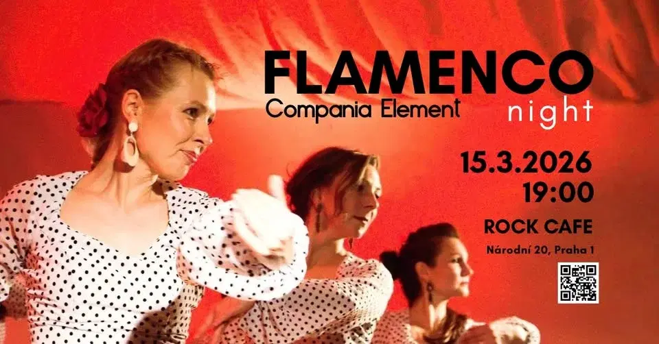 Flamenco Night