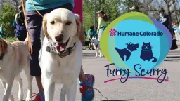 33rd Annual Furry Scurry