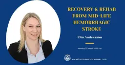 Recovery & Rehab from a mid-life hemorrhagic stroke