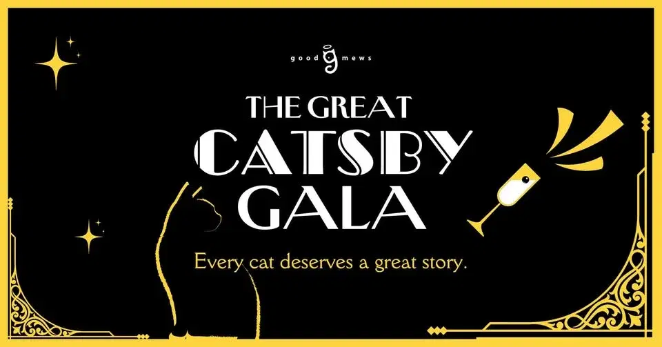 The Great Catsby Gala