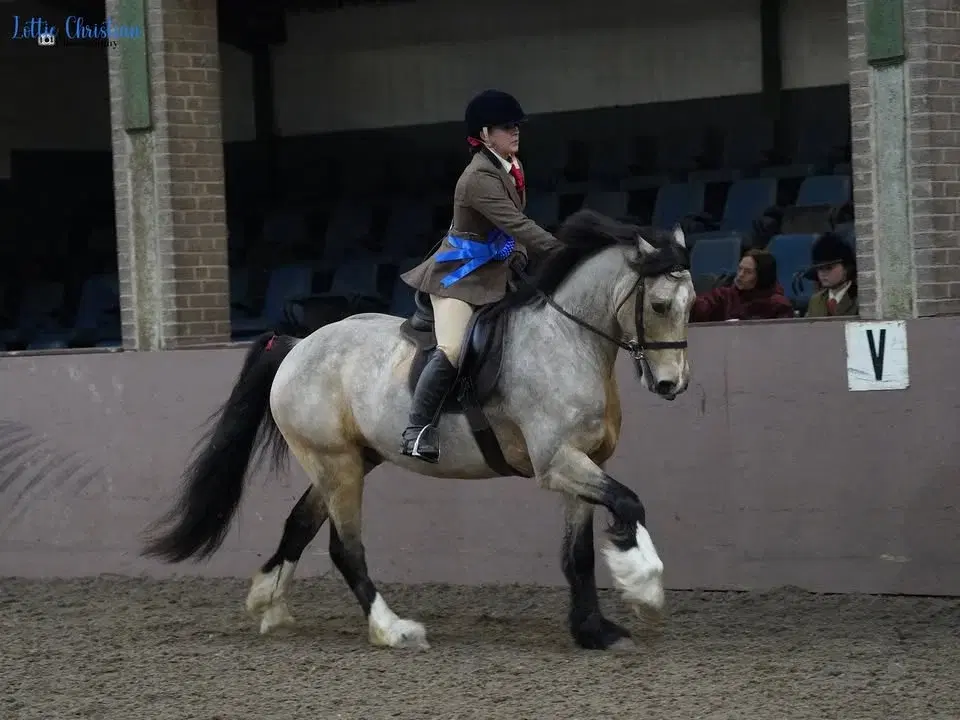 Bold Heath Summer Show - 14th June 2026