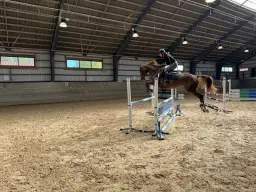 Svanteträning på Balingsta Gård em/kväll fredag 20 mars 2026