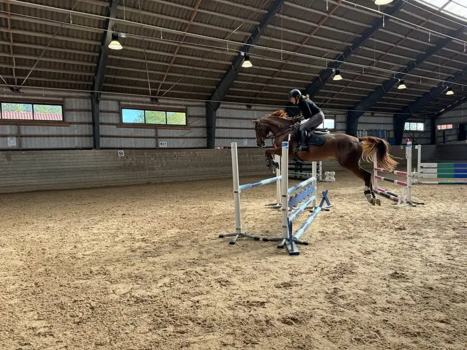 Svanteträning på Balingsta Gård em/kväll fredag 20 mars 2026