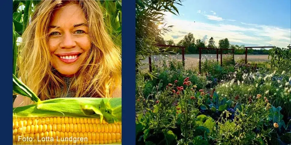 Hålla sams – att samodla grönsaker och blommor