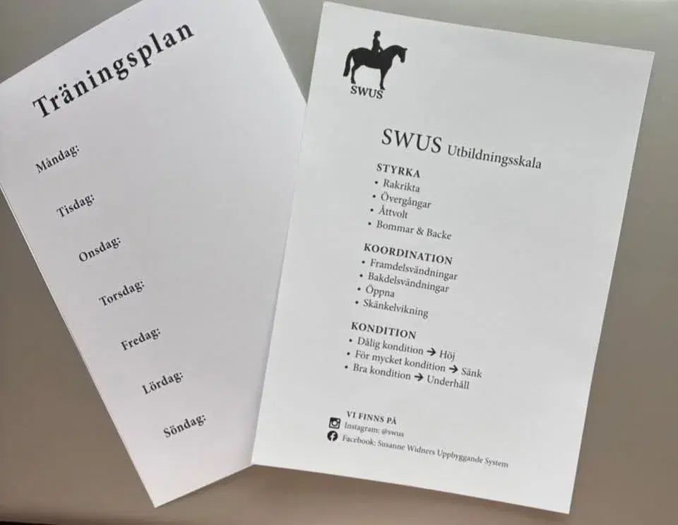 Workshop med Susanne Widner