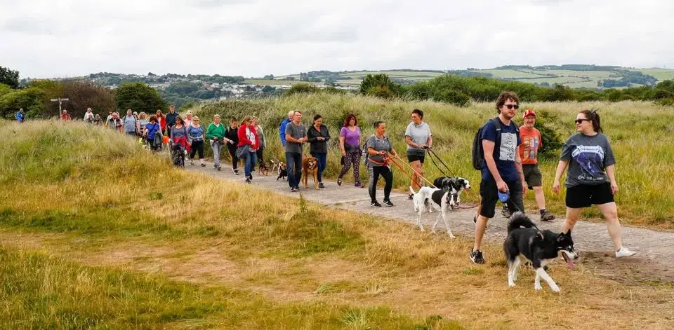 Almost Home Summer Pack Walk