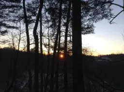 Vårblot med Forn Sed Stockholm