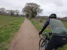 The Spring Fling 2026